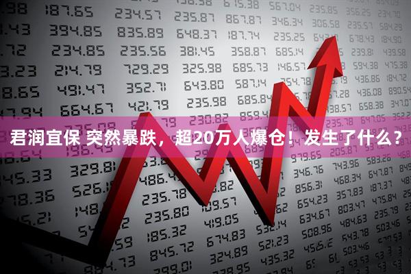 君润宜保 突然暴跌，超20万人爆仓！发生了什么？