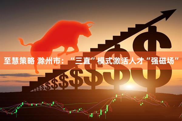 至慧策略 滁州市：“三直”模式激活人才“强磁场”