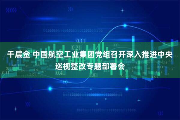 千层金 中国航空工业集团党组召开深入推进中央巡视整改专题部署会