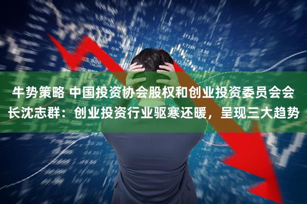 牛势策略 中国投资协会股权和创业投资委员会会长沈志群：创业投资行业驱寒还暖，呈现三大趋势