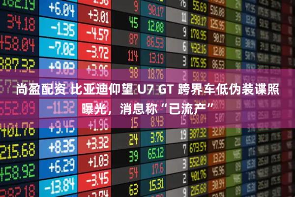 尚盈配资 比亚迪仰望 U7 GT 跨界车低伪装谍照曝光，消息称“已流产”