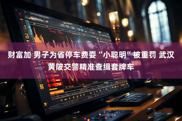 财富加 男子为省停车费耍“小聪明”被重罚 武汉黄陂交警精准查缉套牌车