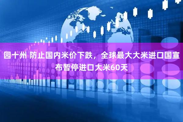 园十州 防止国内米价下跌，全球最大大米进口国宣布暂停进口大米60天