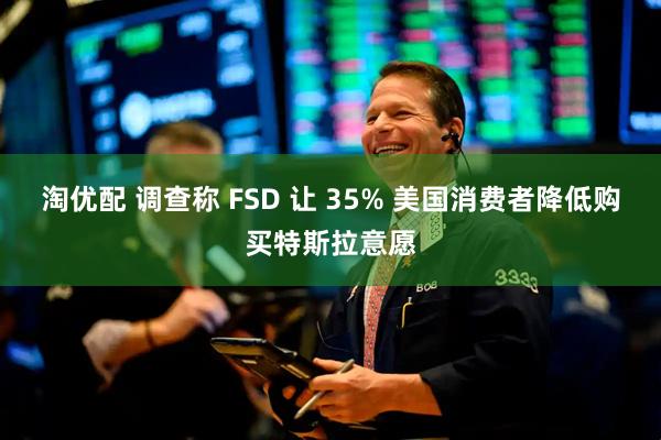 淘优配 调查称 FSD 让 35% 美国消费者降低购买特斯拉意愿