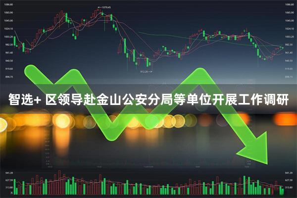 智选+ 区领导赴金山公安分局等单位开展工作调研