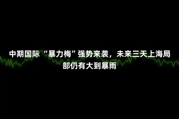 中期国际 “暴力梅”强势来袭，未来三天上海局部仍有大到暴雨